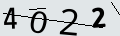 verifycode